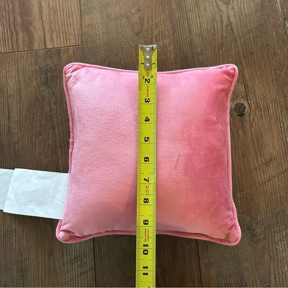 Lot of 3: Two Kirkland's Home Mini Decorative Pillows and One Tumbler